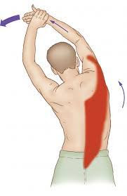 Trigger Point Therapy Diagram