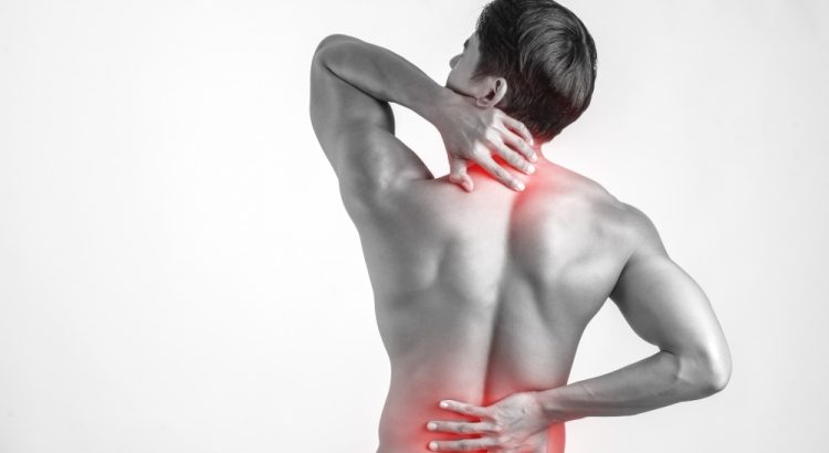 Back Pain Relief